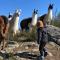 Maisons de vacances Lama-Gite-des-Puys chalet ecologique a 30km des pistes, visite aux lamas Charge VE : photos des chambres