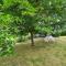 Maisons de vacances Gite Les Paquerettes spacieuse jardin terrain clos a 20min du Puy du Fou : photos des chambres