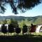 Campings Mobil-home en pleine nature : photos des chambres