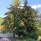 Maisons de vacances Gite proche des passerelles et du lac de Monteynard : photos des chambres
