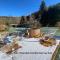 Chalets Gite Chalet avec bain nordique et piscine 11 pers Hautes Vosges : photos des chambres