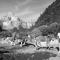 Chalets Gite ferme en permaculture avec ses animaux : photos des chambres