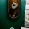 Maisons d'hotes Le Terrier : photos des chambres