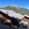 Chalets Chalet Balata - Charming chalet with hot tub and views : photos des chambres