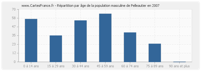 Répartition par âge de la population masculine de Pelleautier en 2007