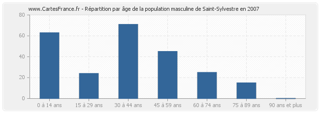 Répartition par âge de la population masculine de Saint-Sylvestre en 2007