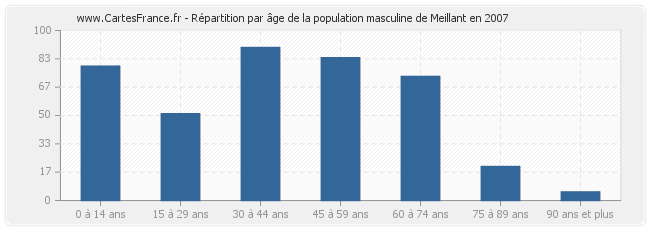 Répartition par âge de la population masculine de Meillant en 2007