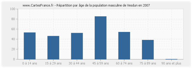 Répartition par âge de la population masculine de Vesdun en 2007