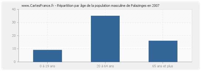 Répartition par âge de la population masculine de Palazinges en 2007