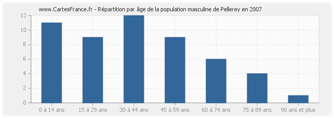 Répartition par âge de la population masculine de Pellerey en 2007