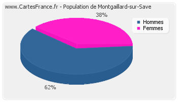 Répartition de la population de Montgaillard-sur-Save en 2007