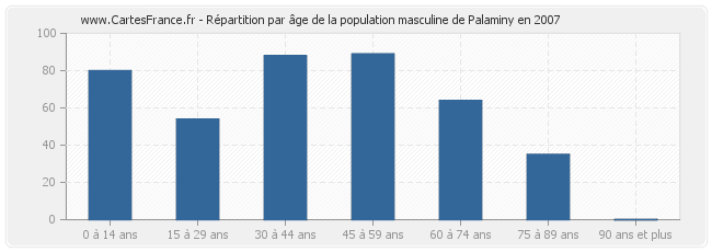 Répartition par âge de la population masculine de Palaminy en 2007