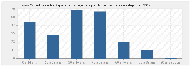 Répartition par âge de la population masculine de Pelleport en 2007