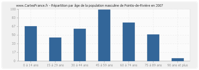 Répartition par âge de la population masculine de Pointis-de-Rivière en 2007