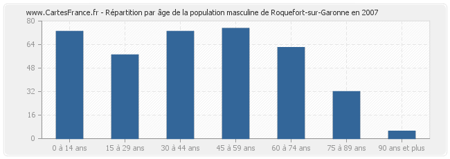 Répartition par âge de la population masculine de Roquefort-sur-Garonne en 2007