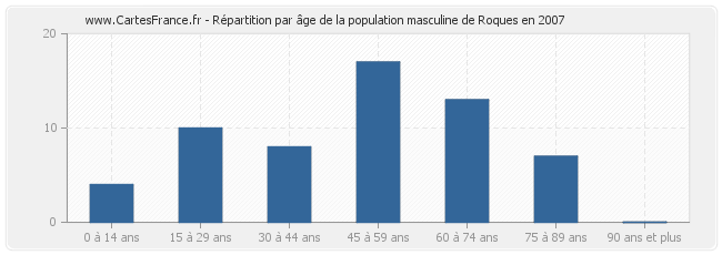 Répartition par âge de la population masculine de Roques en 2007