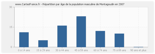 Répartition par âge de la population masculine de Montagoudin en 2007