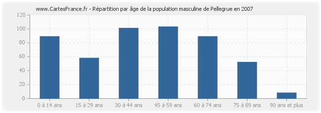 Répartition par âge de la population masculine de Pellegrue en 2007