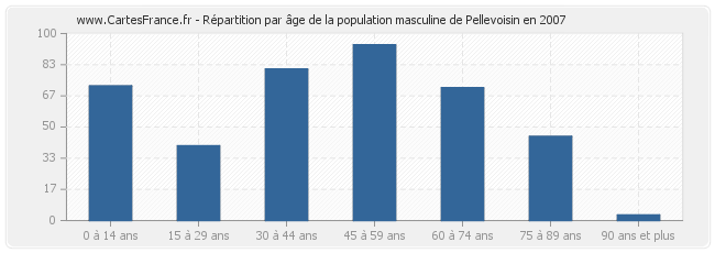 Répartition par âge de la population masculine de Pellevoisin en 2007