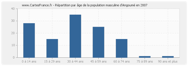 Répartition par âge de la population masculine d'Angoumé en 2007