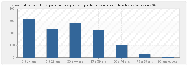 Répartition par âge de la population masculine de Pellouailles-les-Vignes en 2007