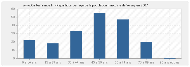 Répartition par âge de la population masculine de Voisey en 2007