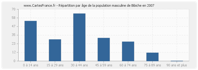 Répartition par âge de la population masculine de Bibiche en 2007