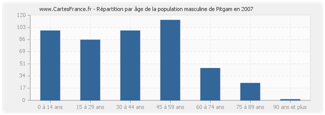 Répartition par âge de la population masculine de Pitgam en 2007