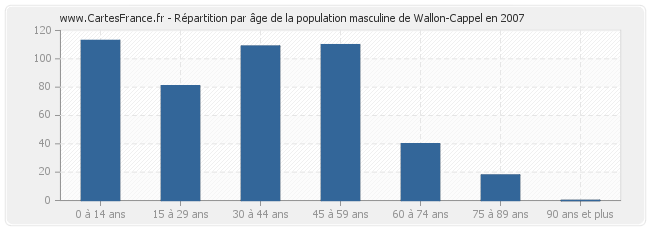 Répartition par âge de la population masculine de Wallon-Cappel en 2007