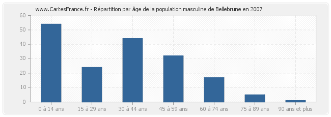 Répartition par âge de la population masculine de Bellebrune en 2007