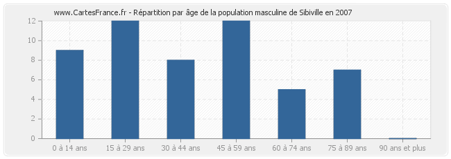Répartition par âge de la population masculine de Sibiville en 2007