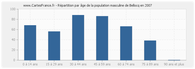 Répartition par âge de la population masculine de Bellocq en 2007