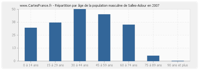 Répartition par âge de la population masculine de Salles-Adour en 2007