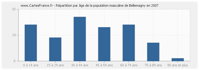 Répartition par âge de la population masculine de Bellemagny en 2007
