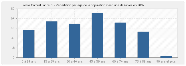 Répartition par âge de la population masculine de Gibles en 2007