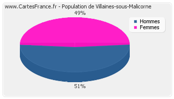 Répartition de la population de Villaines-sous-Malicorne en 2007