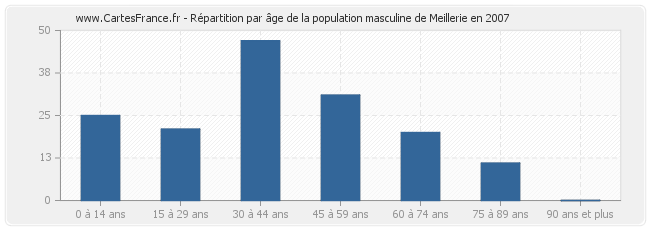 Répartition par âge de la population masculine de Meillerie en 2007