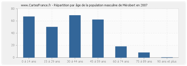 Répartition par âge de la population masculine de Mérobert en 2007