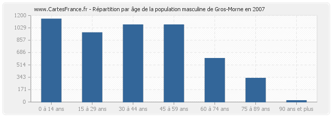 Répartition par âge de la population masculine de Gros-Morne en 2007